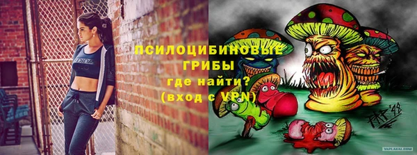 бошки Абинск
