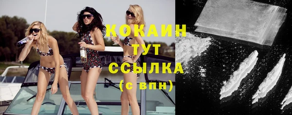 мяу мяу мука Абаза