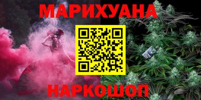 индика Славгород