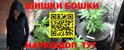 индика Славгород