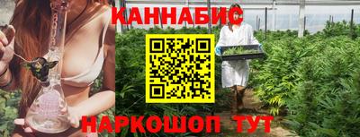 индика Славгород