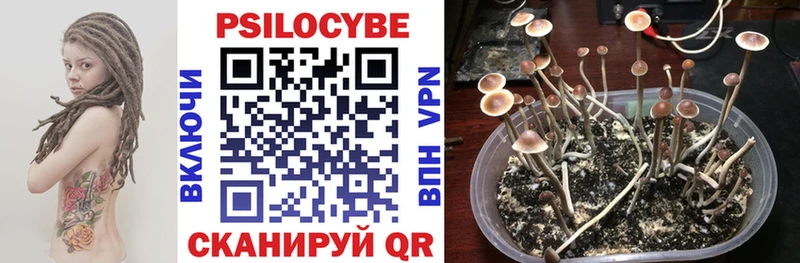 Псилоцибиновые грибы MAGIC MUSHROOMS  как найти   Отрадное 