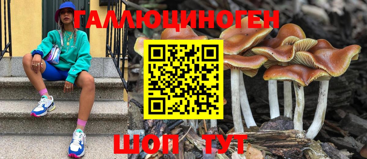 Псилоцибиновые грибы MAGIC MUSHROOMS Отрадное