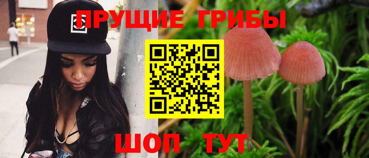 Отрадное  Псилоцибиновые грибы мицелий  Псилоцибиновые грибы мицелий  Вход с VPN 