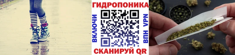 kraken   Отрадное  Бошки марихуана AK-47 